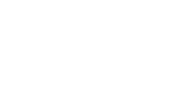 Bravus